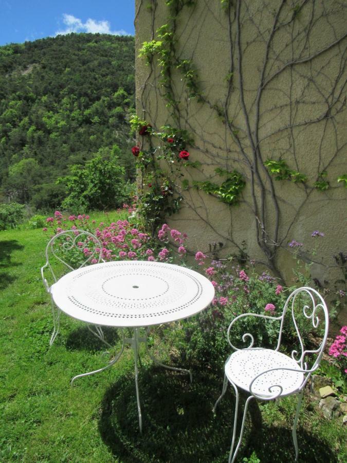 Bed and Breakfast La Ferme De La Condamine Saint-Andre-de-Rosans Экстерьер фото